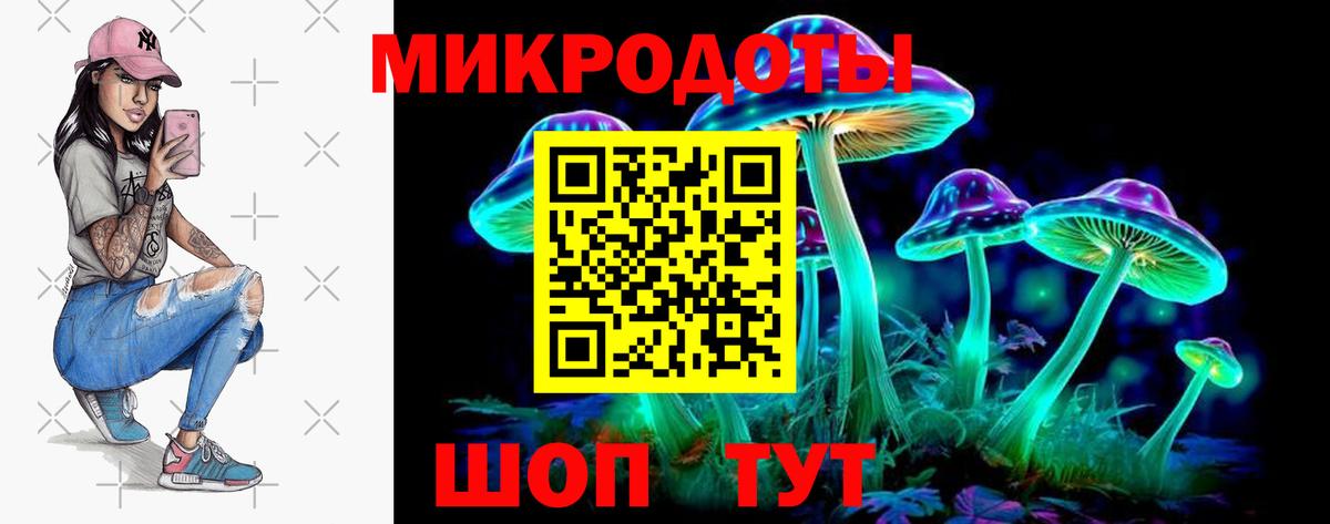 Галлюциногенные грибы Psilocybe  Вход с VPN  продажа наркотиков  Качканар 